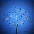 Foto: Blaue Perlendekoration für Blumenstrauß