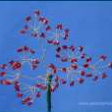 Foto: Rote Perlendekoration für Blumenstrauß