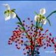 Foto: Perlenarbeit - Blumenstrauß mit Schneeglöckchen aus Perlen